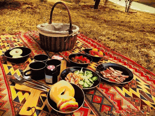 27-3.28|#陪我离开#爱情实验|8个陌生人 30小时=?