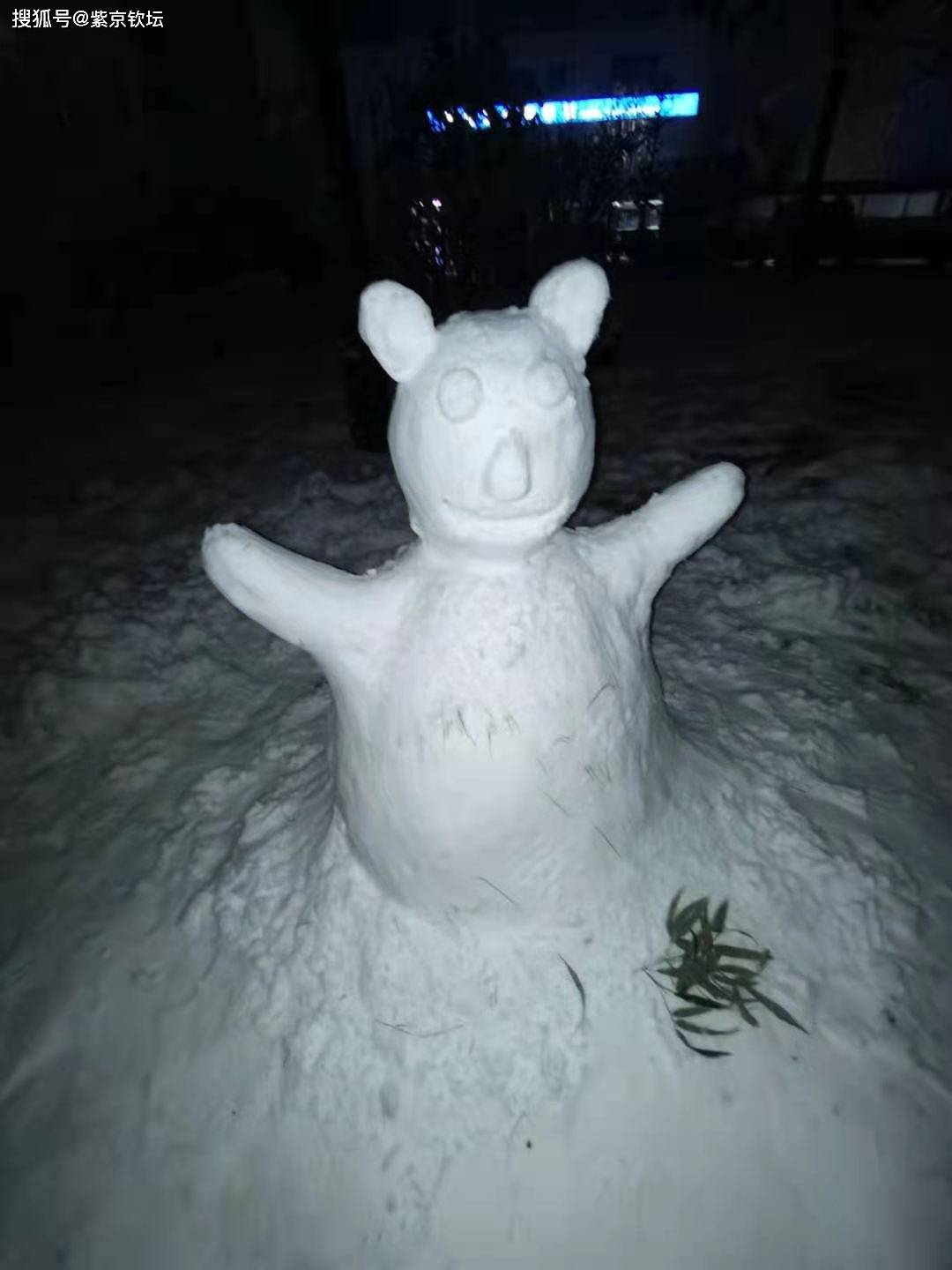 雒嘉赞杰作狗熊雪人 返回搜