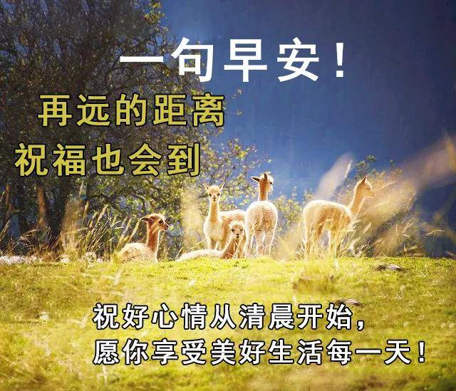 早晨漂亮的早上好问候语表情 新的一天早安祝福语精美