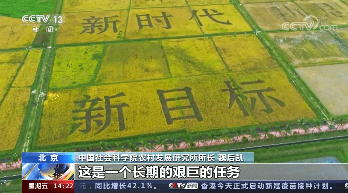 2021:乡村振兴开新"局"