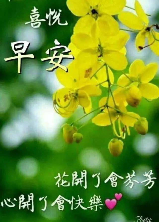 早上好唯美句子配图 蜜拓蜜:清晨早上好漂亮的动态祝福图片带字