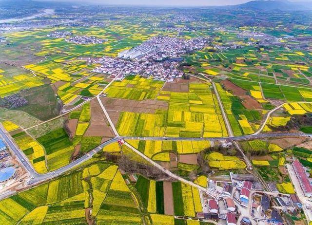 2021年汉中油菜花节3月13日在西乡启动 110余项活动公布