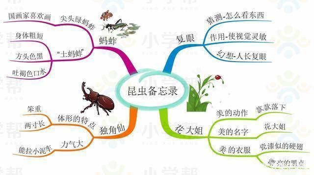 录》:作者用轻快有趣的笔调向我们介绍了"蜻蜓的复眼""花大姐瓢虫"