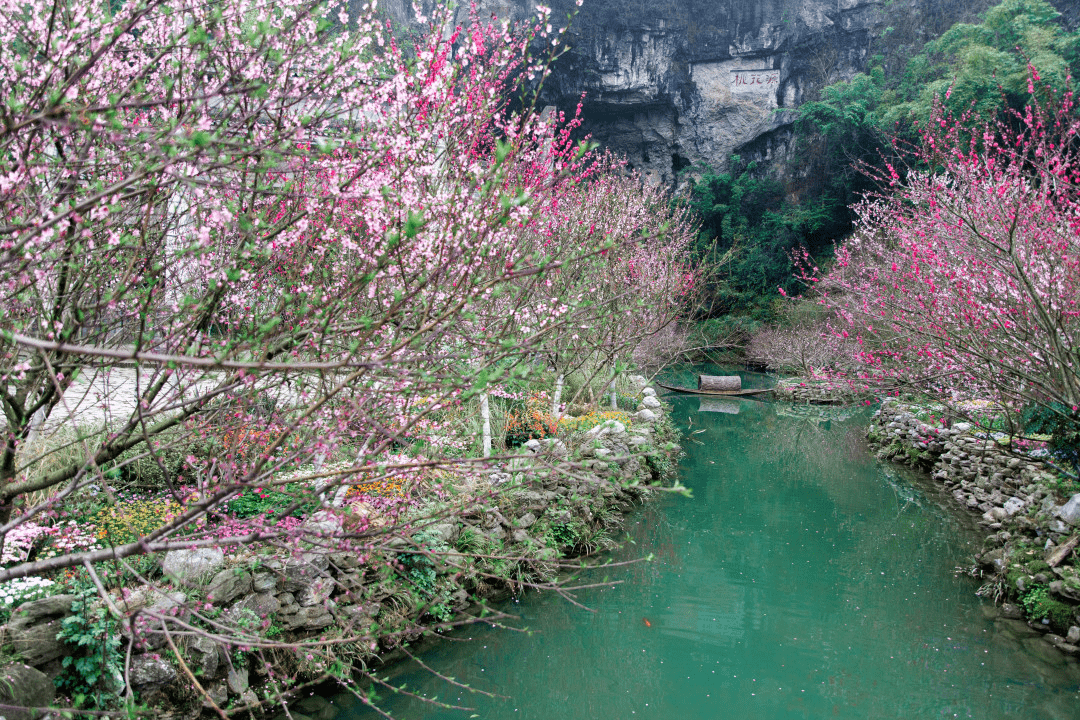 2021年桃花源花期预报