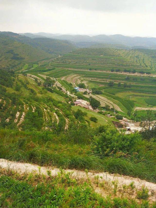 银川旅游景点有哪些地方 宁夏景区有哪些景点值得一去