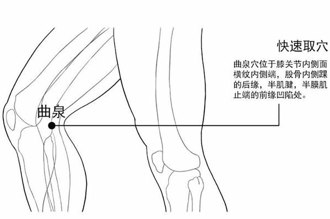 膝盖内侧的疼痛怎么选穴?医生:虽然病因很多,但是都可选曲泉