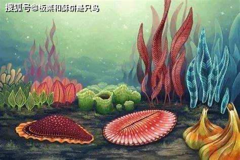 原创化石出现断层古生物学和地质学的悬案寒武纪生命大爆发