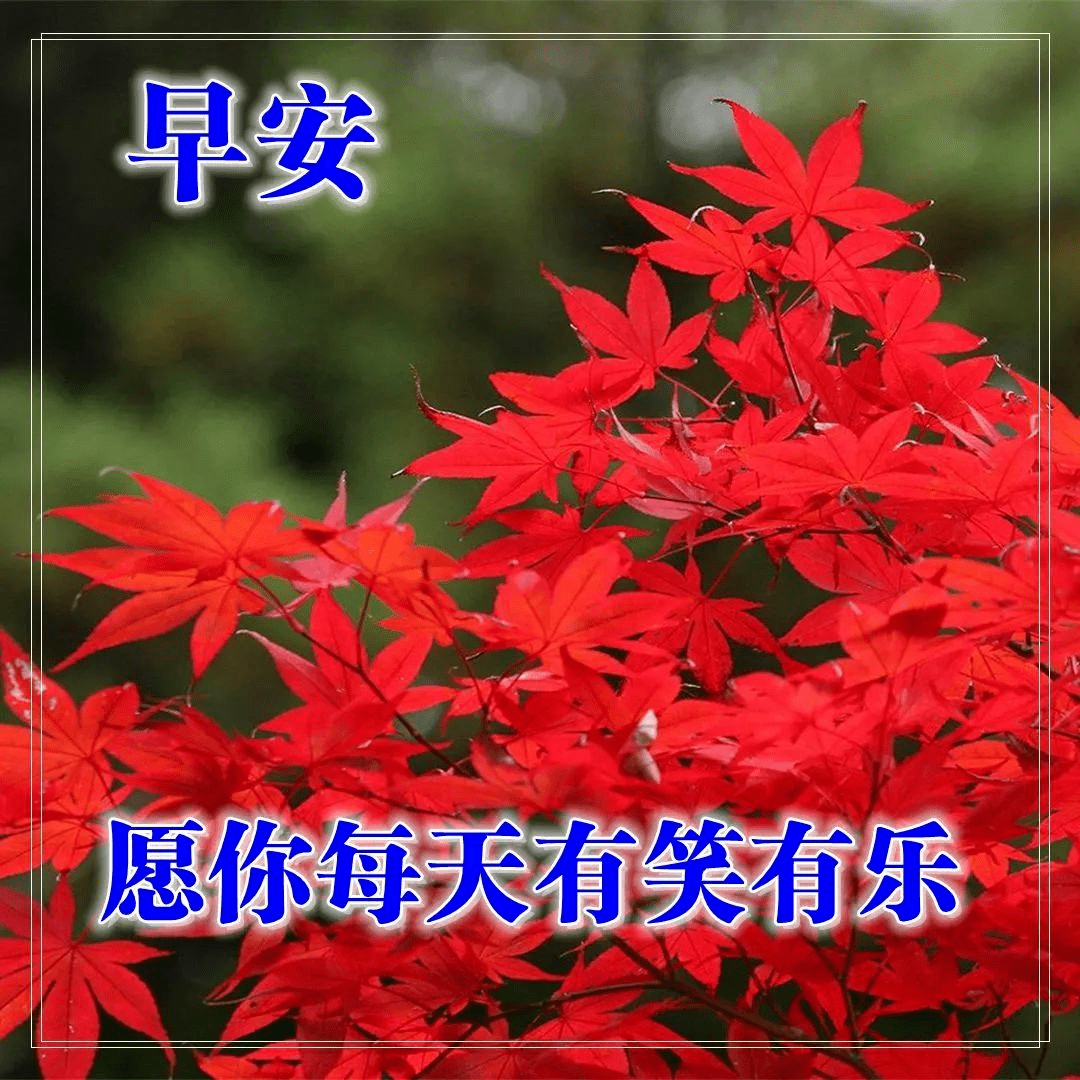 早上好问候语带图片早安祝福语唯美图片表情大全