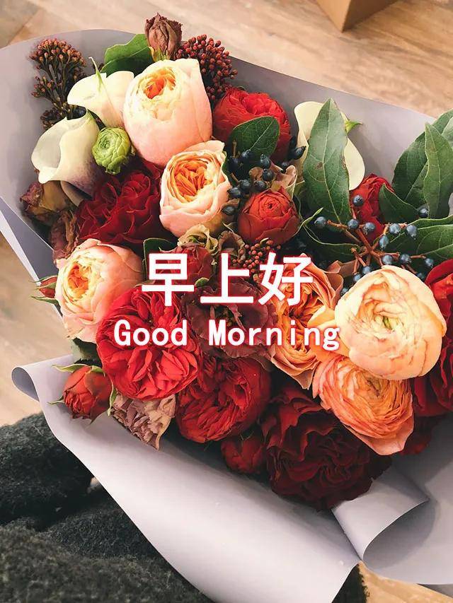 最新早安问候祝福语说说 早上好问候朋友最美的句子