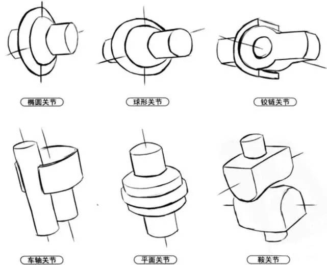 大致分为6种:球形关节,椭圆关节,铰链关节,鞍关节,车轴关节和平面关节