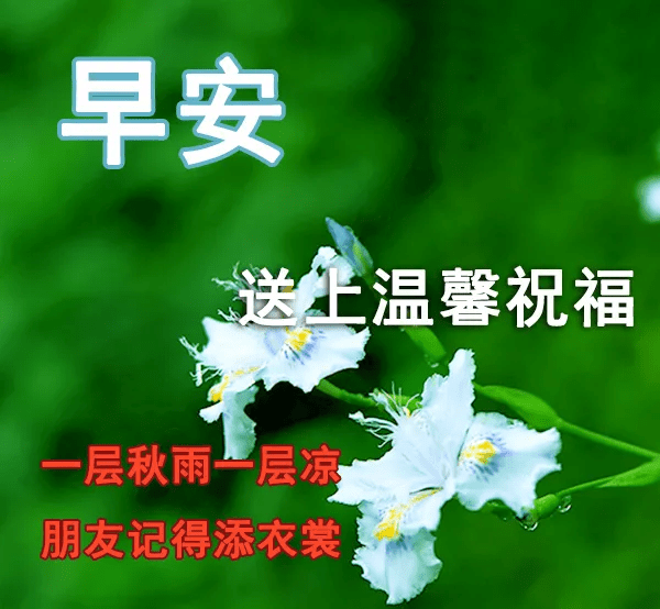 清晨早安动态表情问候祝福语,美好的一天从这里开启吧