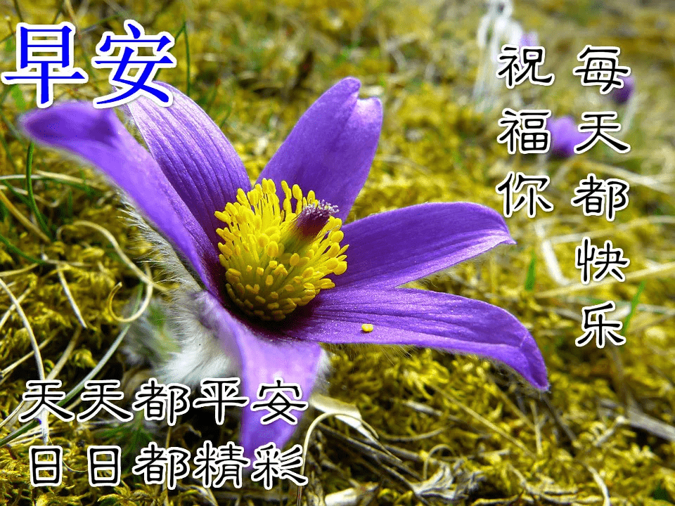 原创清晨暖心的早安祝福语 朋友圈最喜欢的早安祝福图片