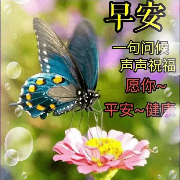 2021年早上好动画图片,早上好2021动画图片 早上好祝福语大全,2021年早上好动态图片,祝福图片