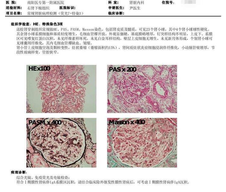 肾脏病理报告单