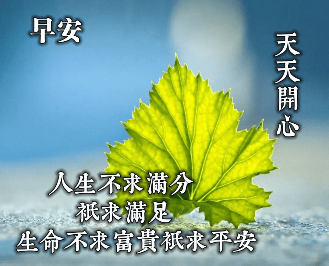 早安问候温馨带字图片 最新超温馨的早上好问候语动态