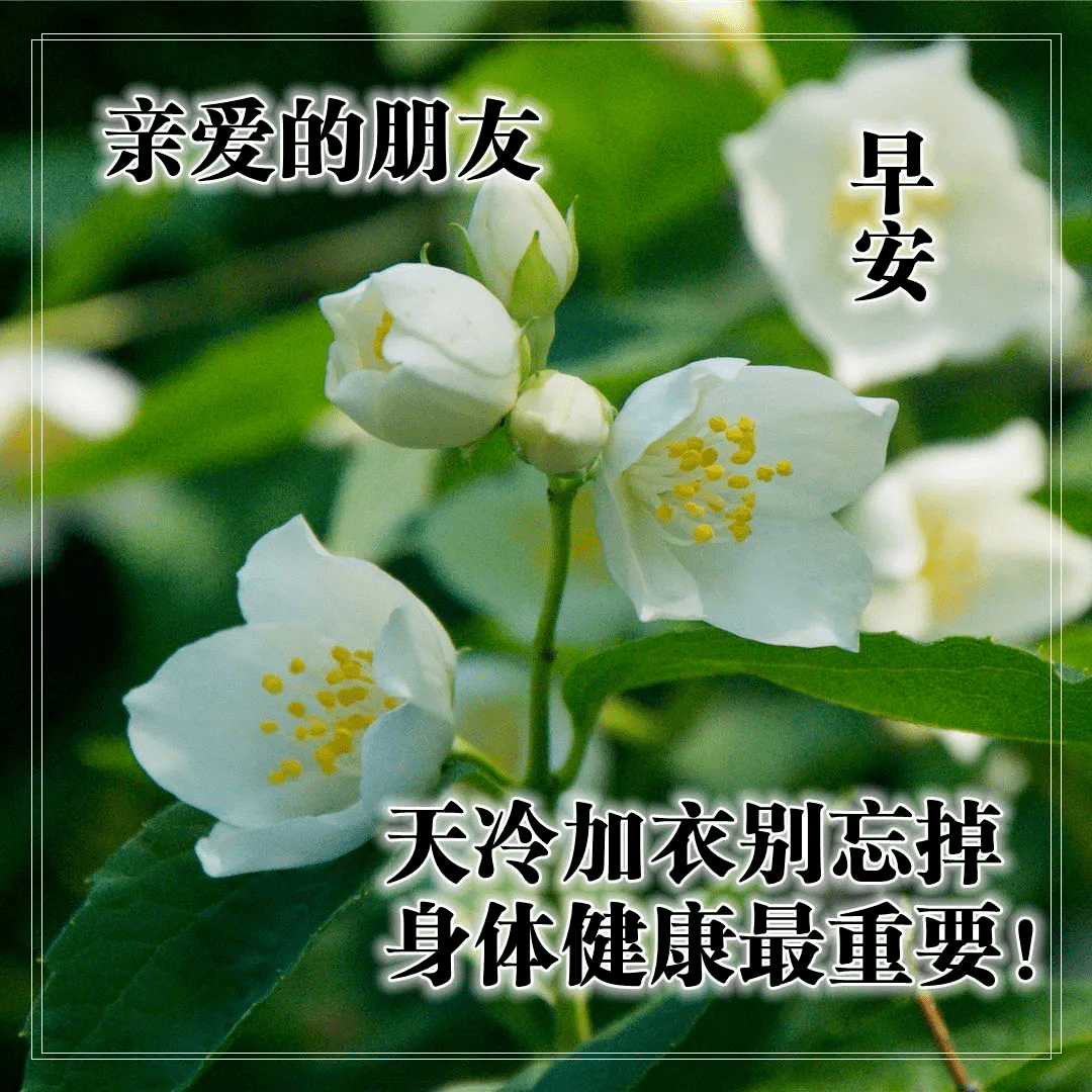 早上好问候语图片,早晨好祝福语表情大图微信