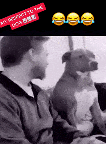 狗狗前脚踩在窝里一脸凝重,原来