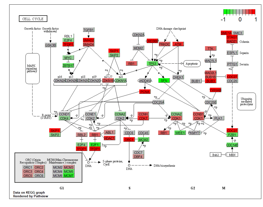 data data pathway.id demo.paths$sel.paths[i