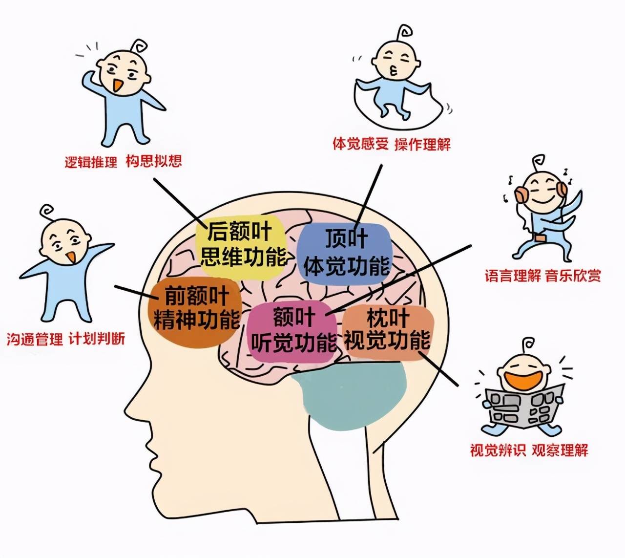 原创儿童大脑发育高峰期仅有一次紧紧抓住机会培养高智商的娃