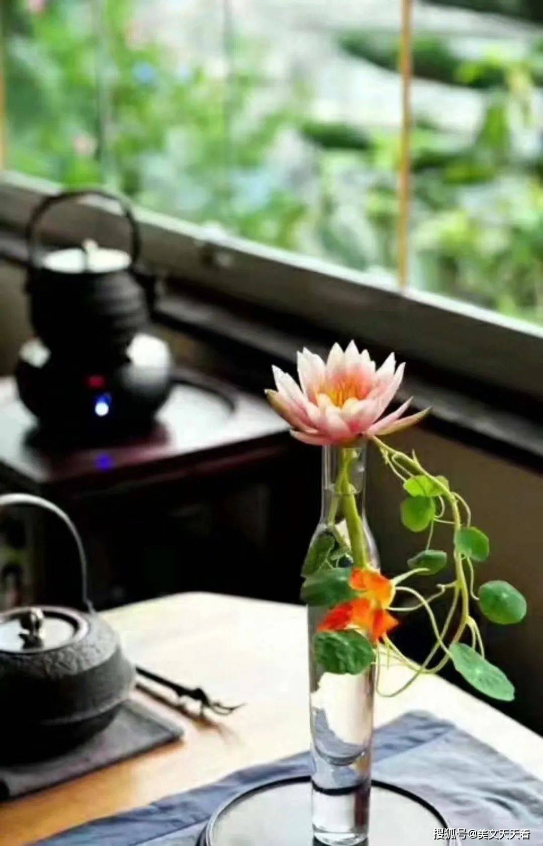 心若静,菩提花开