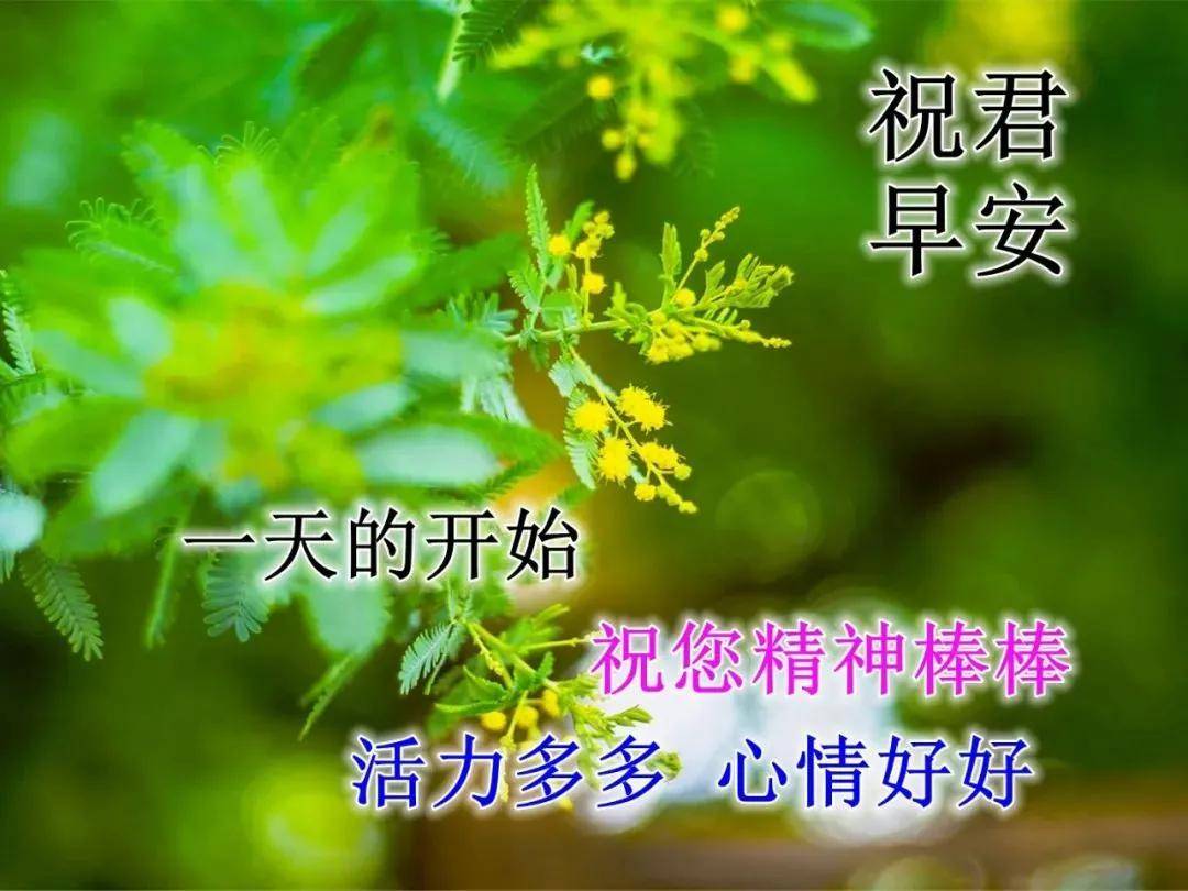 原创早上好!新的一天,祝你事事顺心如意,愿你开心快乐