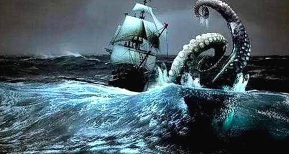 世界上最大的无脊椎动物,被称为"巨枪乌贼",海里攻击不容忽视