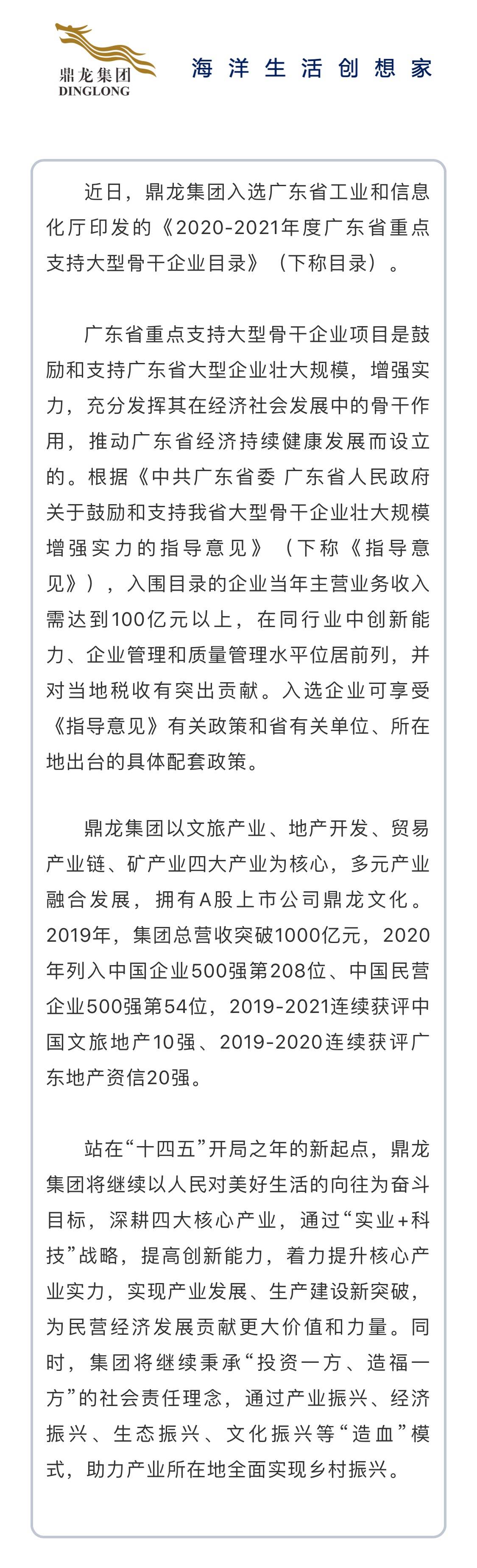 鼎龙集团入选20202021年度广东省重点支持大型骨干企业目录