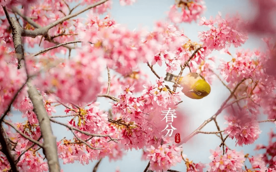 "日月阴阳两均天,玄鸟不辞桃花寒.春分 燕子来时,陌上花开.