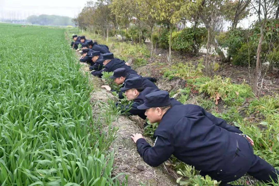 选择一个有坡度的道路侧面作为掩体,在草丛里埋伏60分钟,是全体民警又