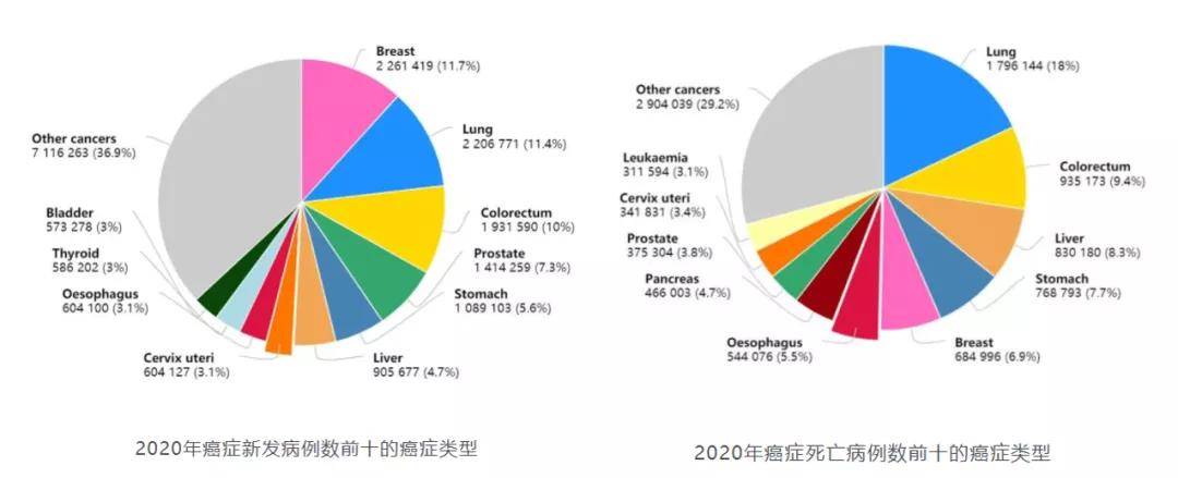 《2020年全球癌症数据,肝癌是全球第六大常见的肿瘤,2020新发病例数