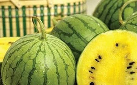 "红心西瓜"和"黄心西瓜"有啥区别?吃了这么多年,你选对了吗