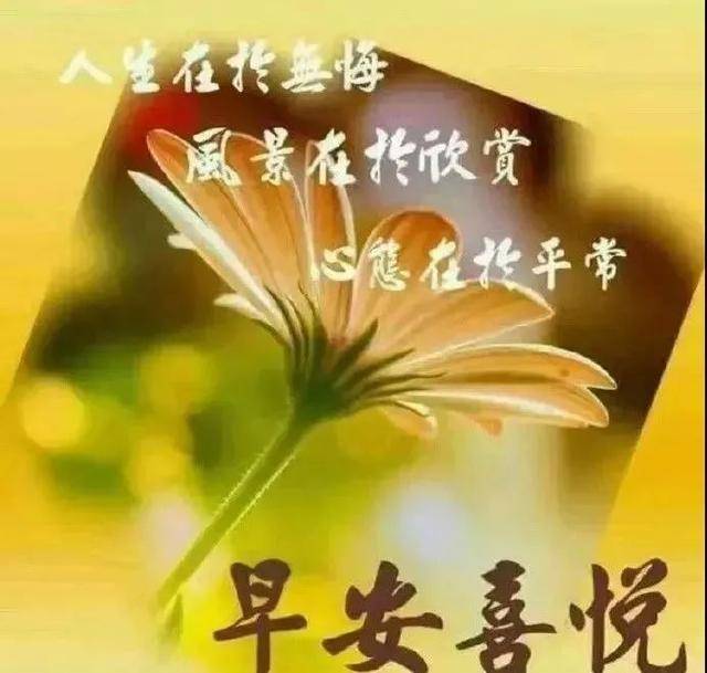 非常温馨新版早晨好问候短语 清早问候大家早上好祝福