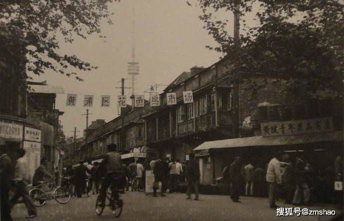 江阴路花鸟市场的故事