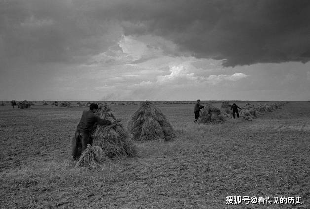 老照片 1965年的东北北大荒 中国的大粮仓