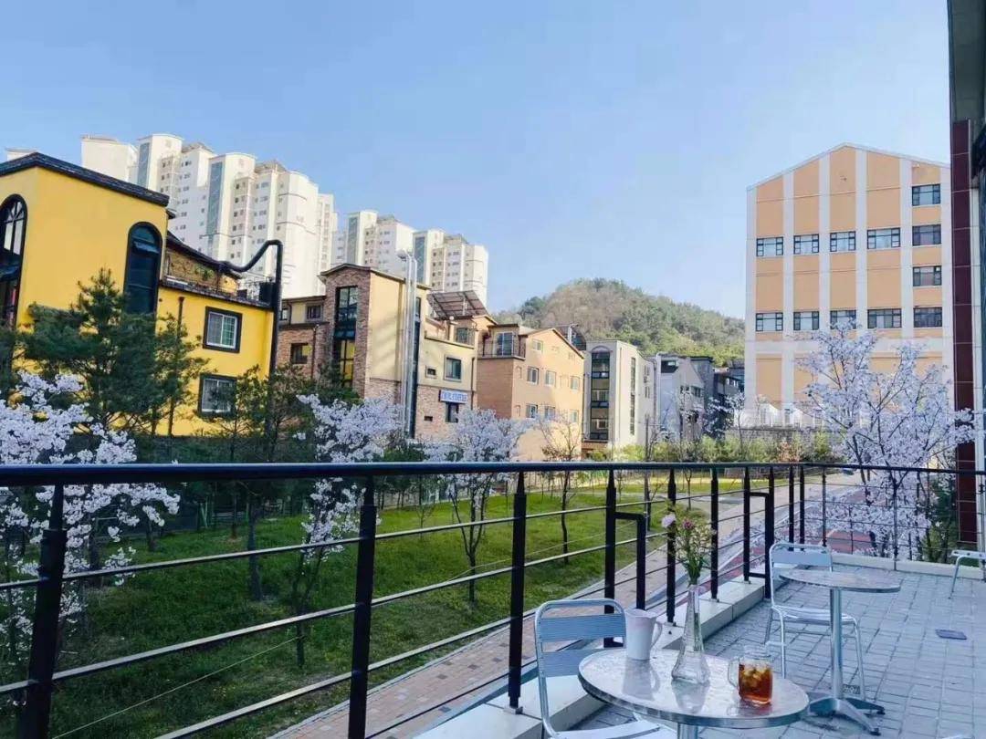 梦想开始的地方,相约韩国牧园大学