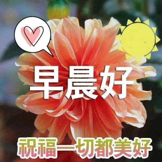 原创早上好快乐问候祝福短信大全早晨好漂亮早上问候图片带字