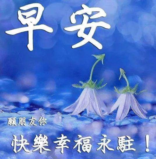 原创早上好分享朋友圈早安问候图片带字温馨最新早上好漂亮动态图片