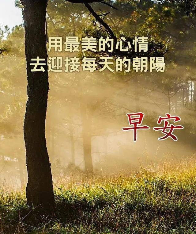 原创星期五微信朋友圈早上好心情感悟图片带句子