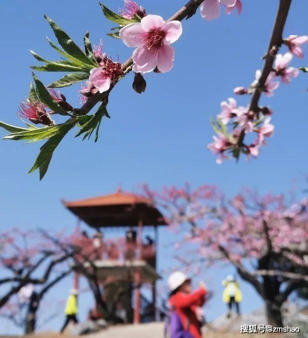 2021无锡阳山桃花节