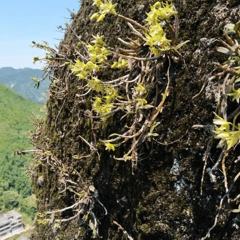 来自搜狐网