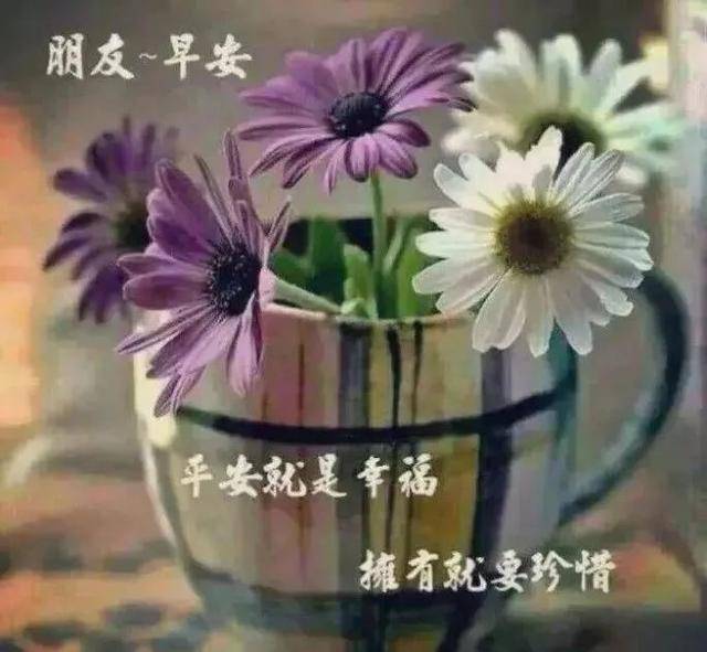 原创周四早安问候祝福图片带字带鲜花朋友圈的暖心祝福问候短句