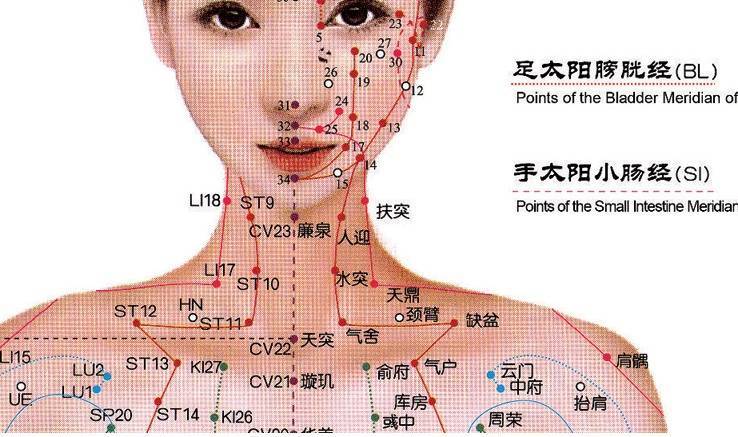 原创人体真有经络线路新实验清晰显示出人体经络穴位古人咋发现的