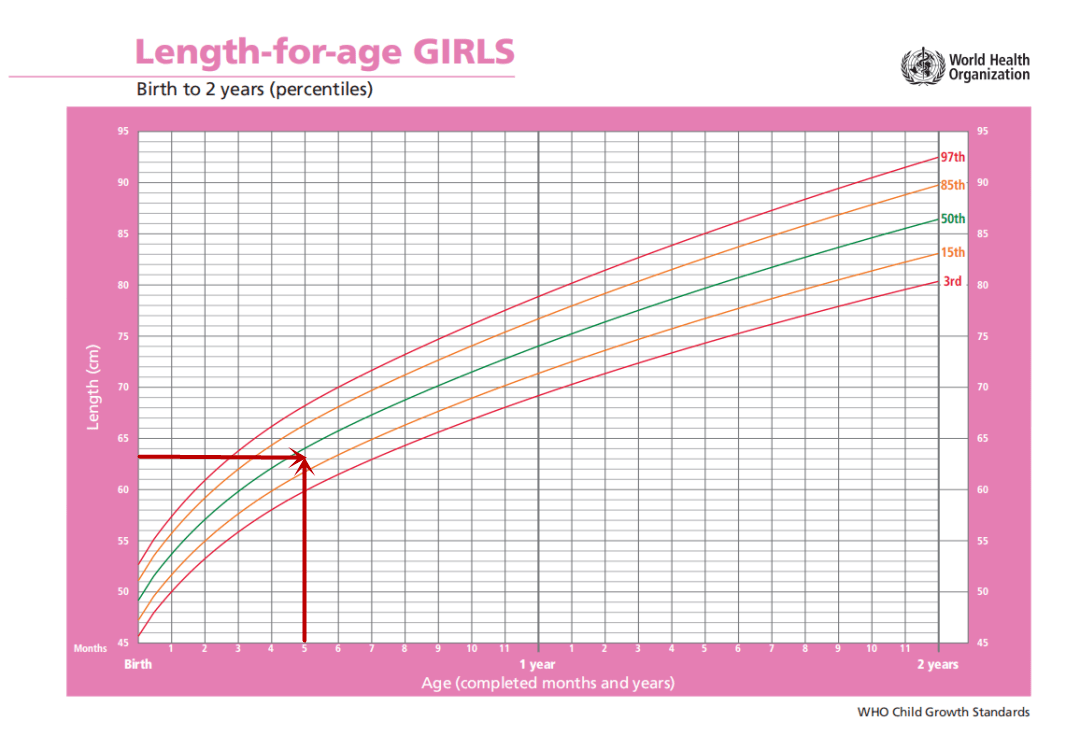 0-2岁女童生长曲线(身高)参考图
