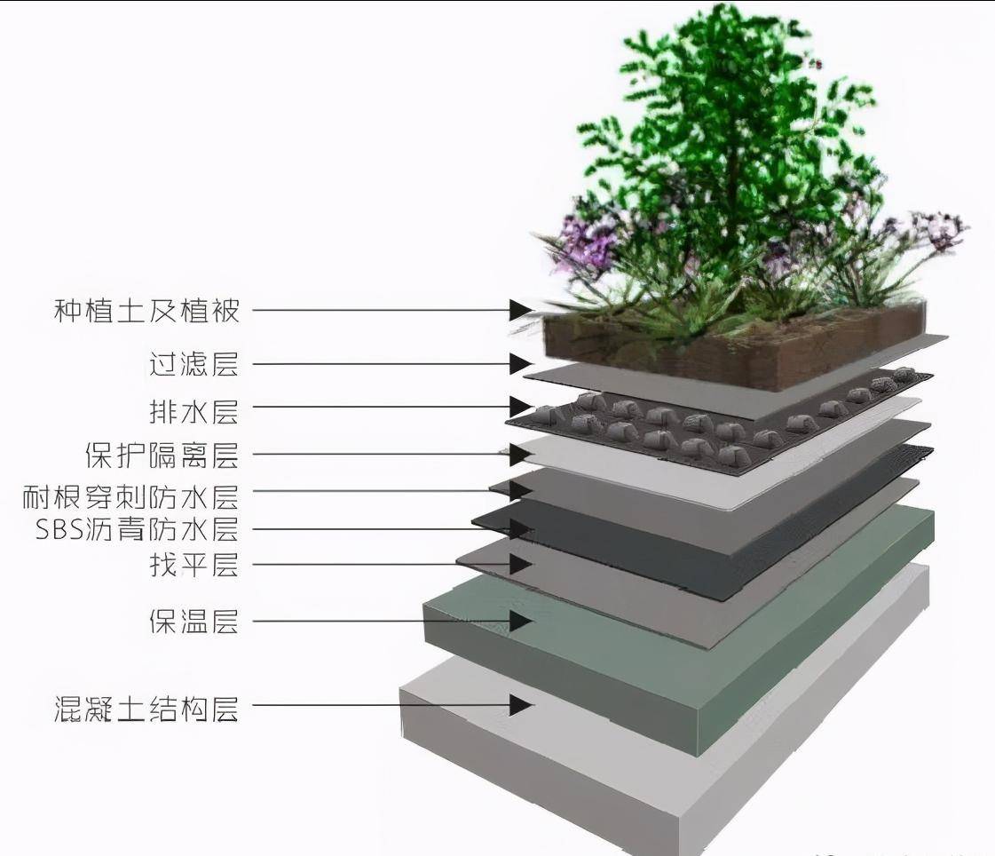 并种植植物,使其起到防水,保温,隔热和生态环保作用的屋面