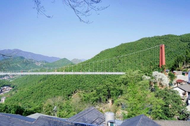 杭州"鸬鸟山花节"赏花,采茶,过你想要的山居生活