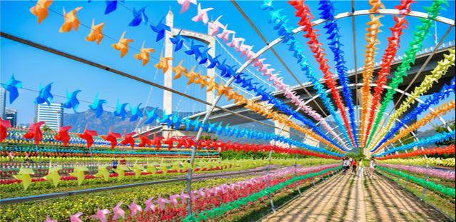 国庆后周末照样玩!花海公园向日葵已开放,新增风车长廊引游人