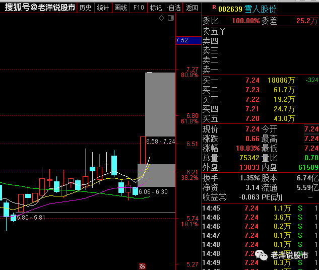 002639 雪人股份