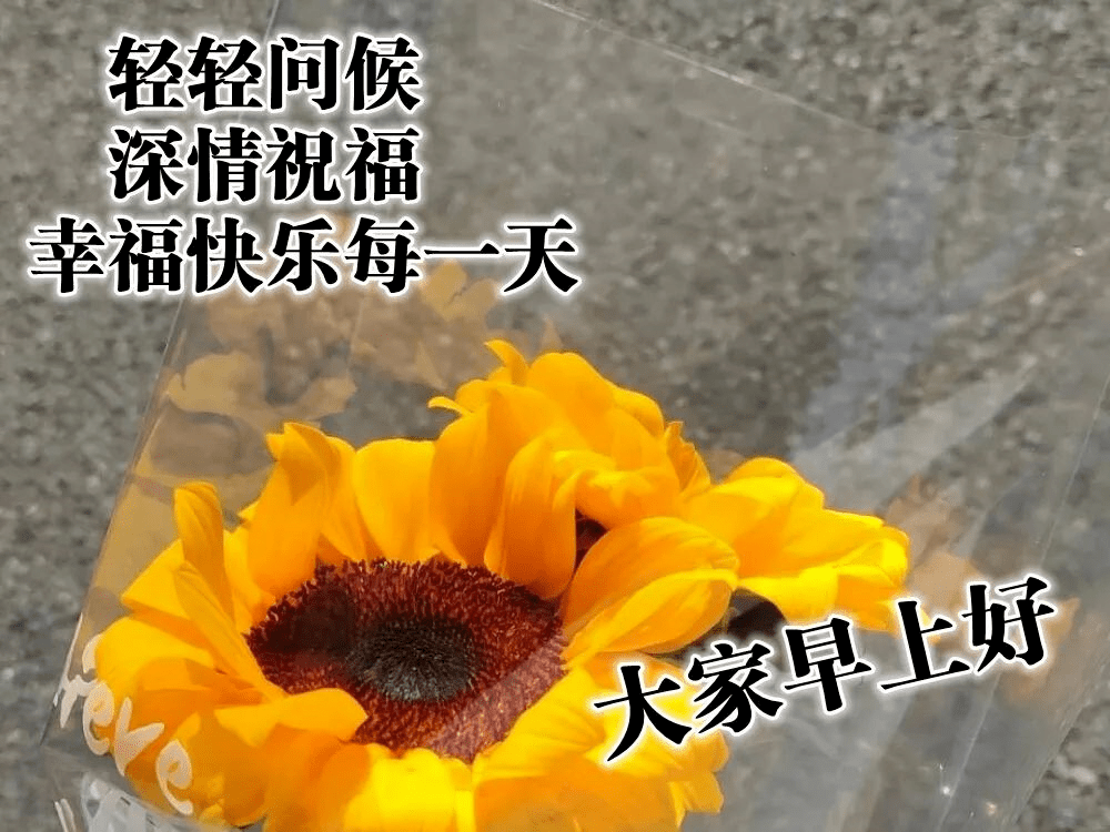 祝福从美好的清晨开始,2021年最美祝福词句,早上好带字祝福图片