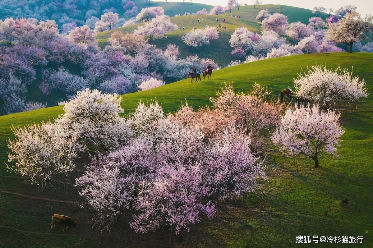 那拉提草原