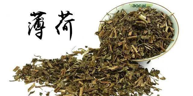 11,紫苏 紫苏味道辛,香,炒田螺吃螃蟹,煮鱼/炖鱼用的最多,味道非常香